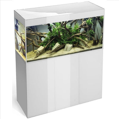 Aquael Glossy Aquarium Set Up - Freshwater Glossy 100 Black