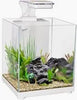 Aqua One Focus 14 Glass Aquarium 14L 30L X 22D X 27cm H