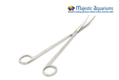 Double Curved Forceps 20cm