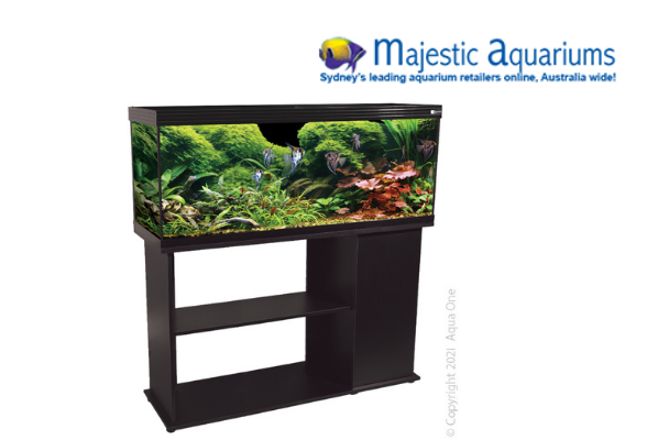 Horizon 182 Black Edition 182L 122 W X 37 D X 49+72cm H Majestic