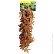 Reptile One Red Hanging Sativa Range