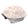 Ornament Tortoise Shell Cream 18x15.2x9cmh