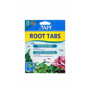 API Root Tabs 13g