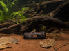 CERAMIC SHRIMP LOG