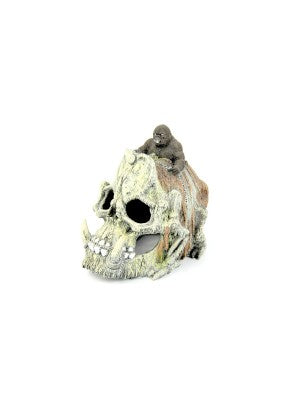 Bioscape  Skull