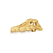 Repti-Zoo Crocodile Skull Hide Cave ERS34 Series
