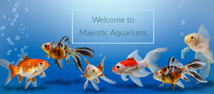 Majestic Aquariums