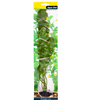 Ecoscape Large Ruffled Lace Plant