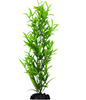 Ecoscape Large Hygrophilia