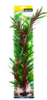 Ecoscape XXLarge Red Ludwigia