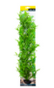 Ecoscape XXLarge Hygrophilia