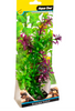 Ecoscape Medium Rotala Purple