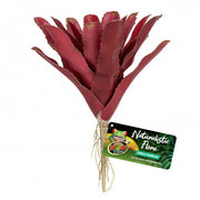Zoo Med Fireball Bromeliad