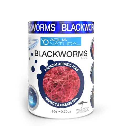 Freeze Dried Blackworms Aqua Natural 14g