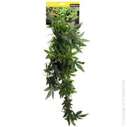 Reptile One Green Hanging Sativa Range