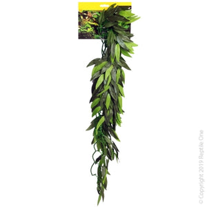 Reptile One Green Tradescantia Cascading Plant Range