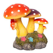 Cluster of mushrooms on mossy rock