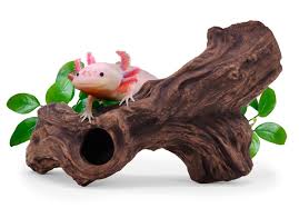 Bettascape Spider Leaves On Driftwood Pink