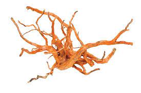 Gold VIne Jumbo