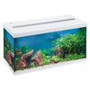 Eheim Aquastar54 led white
