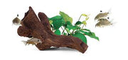 Aquavitro Ceramic Hide B2