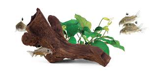 Bettascape Spider Leaves On Driftwood Pink