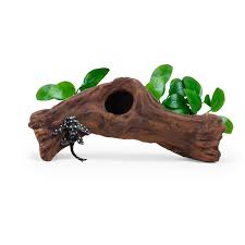 Bettascape Spider Leaves On Driftwood Pink
