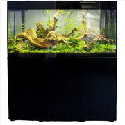 Aquael Glossy Aquarium Set Up - Freshwater Glossy 150 Black