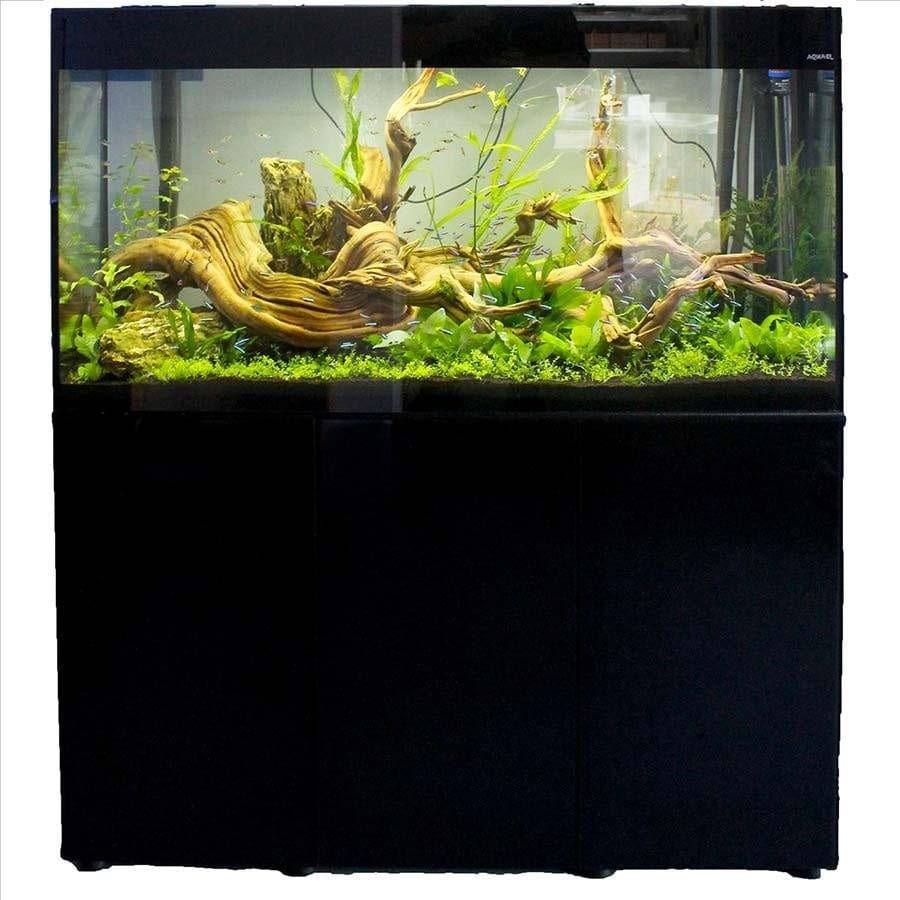 Aquael Glossy Aquarium Set Up Freshwater Glossy 100 Black