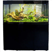 Aquael Glossy Aquarium Set Up - Freshwater Glossy 100 Black