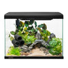 LifeStyle Classic Complete Glass Aquariums