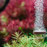 Neo Diffuser Small co2