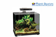 Aqua One Focus 25 Glass Aquarium 25L 40L X 25D X 31cm H (black)