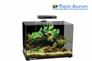 Aqua One Focus 36 Glass Aquarium 36L 50L X 25D X 34cm H (black)