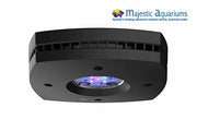 AI Prime Freshwater 16 HD Black