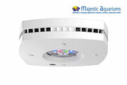 AI Prime Freshwater 16 White