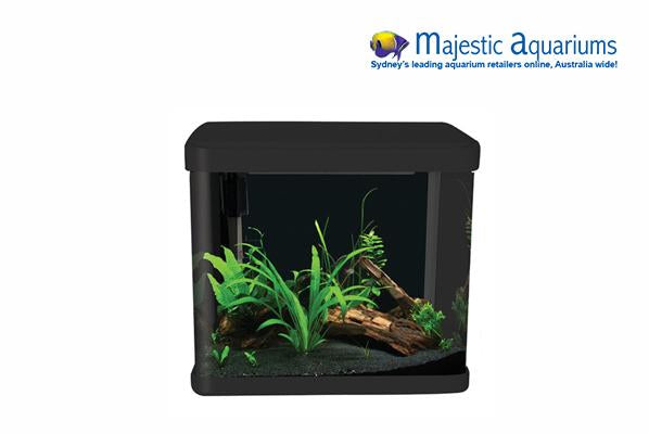 Aquarium dealers shop