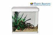 Aqua One LifeStyle 21 Complete Glass Aquarium 32cm 21L Gloss White