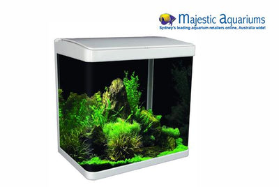 Aqua One Focus 14 Glass Aquarium 14L 30L X 22D X 27cm H (black)