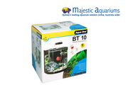 BT 10 Betta Glass Aquarium 10L 25.5W X 21D X 26cm H