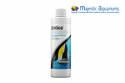 Entice 250ml