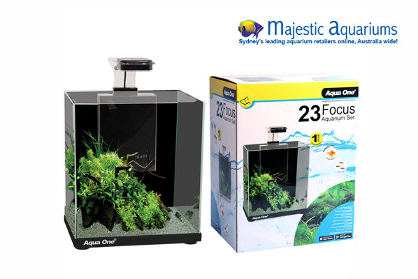 fish tank accessories online australia Aqua One Focus 23 Glass Aquarium 23L 30L X 22D X 41cm H (black)