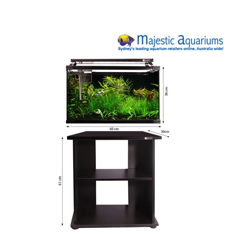 Horizon 65 Glass Starter Kit W Stand 65L 60 W X 30 D X 36+61cm H