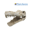 Croc Skull X Large