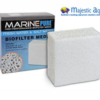 Marine Pure 8x8x4 in Block