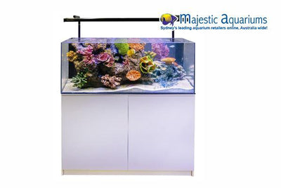 Aqua One LifeStyle 21 Complete Glass Aquarium 32cm 21L Gloss White