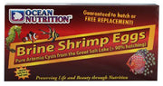 Brine Shrimp Eggs Box 50g