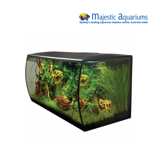 Fluval Flex Aquarium Marine 123ltr Black Majestic Aquariums