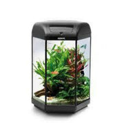 Aquael Aquarium HEXA SET II 60L 3W LT Aquarium/Stand Range