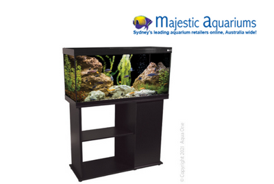 Aqua One Focus 23 Glass Aquarium 23L 30L X 22D X 41cm H (black)